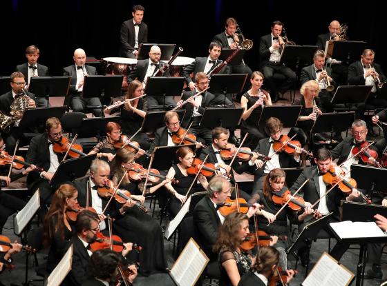 Euchestra Egrensis